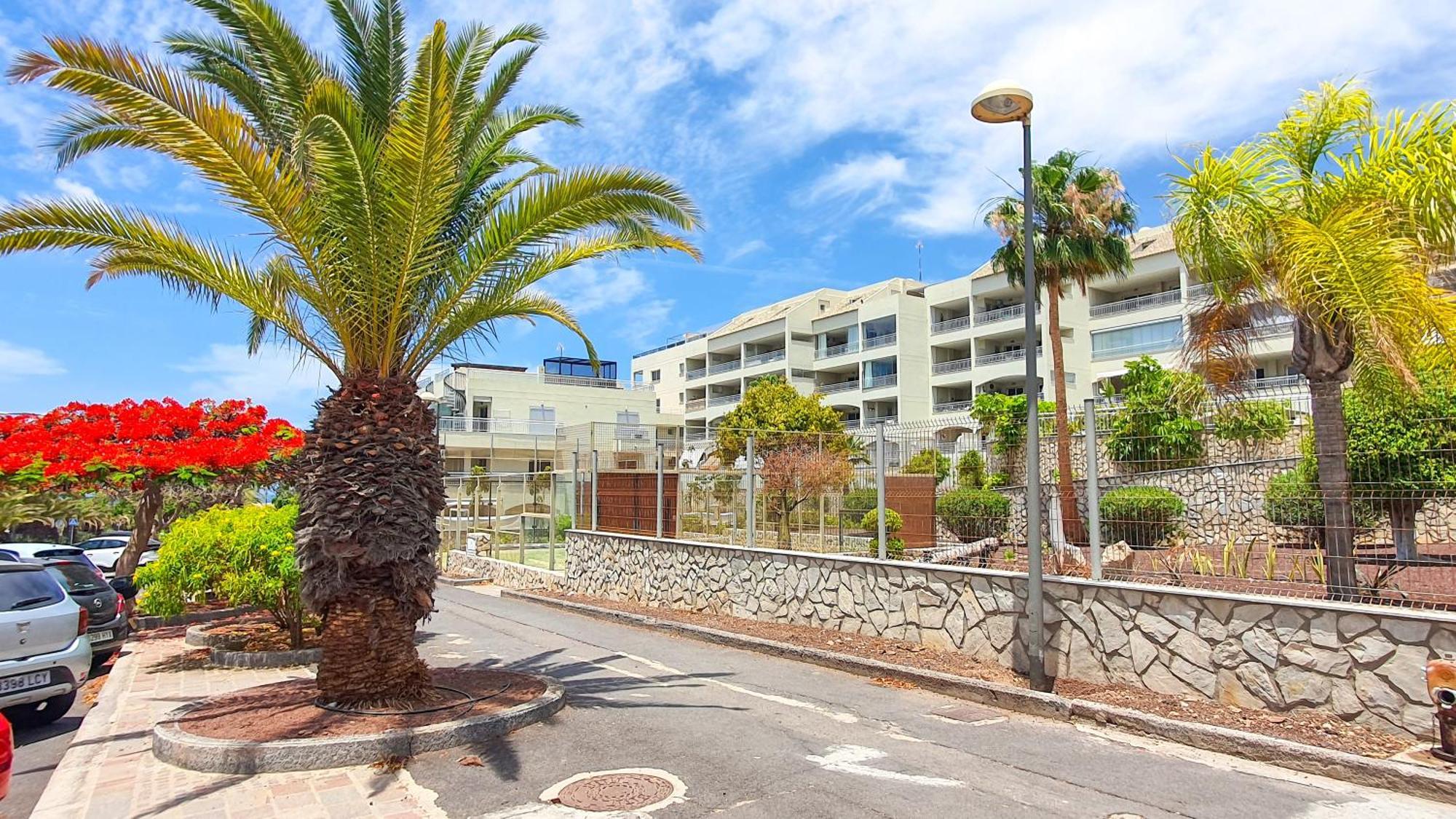 Terraza Sea & Sun Daire Palm-mar Dış mekan fotoğraf