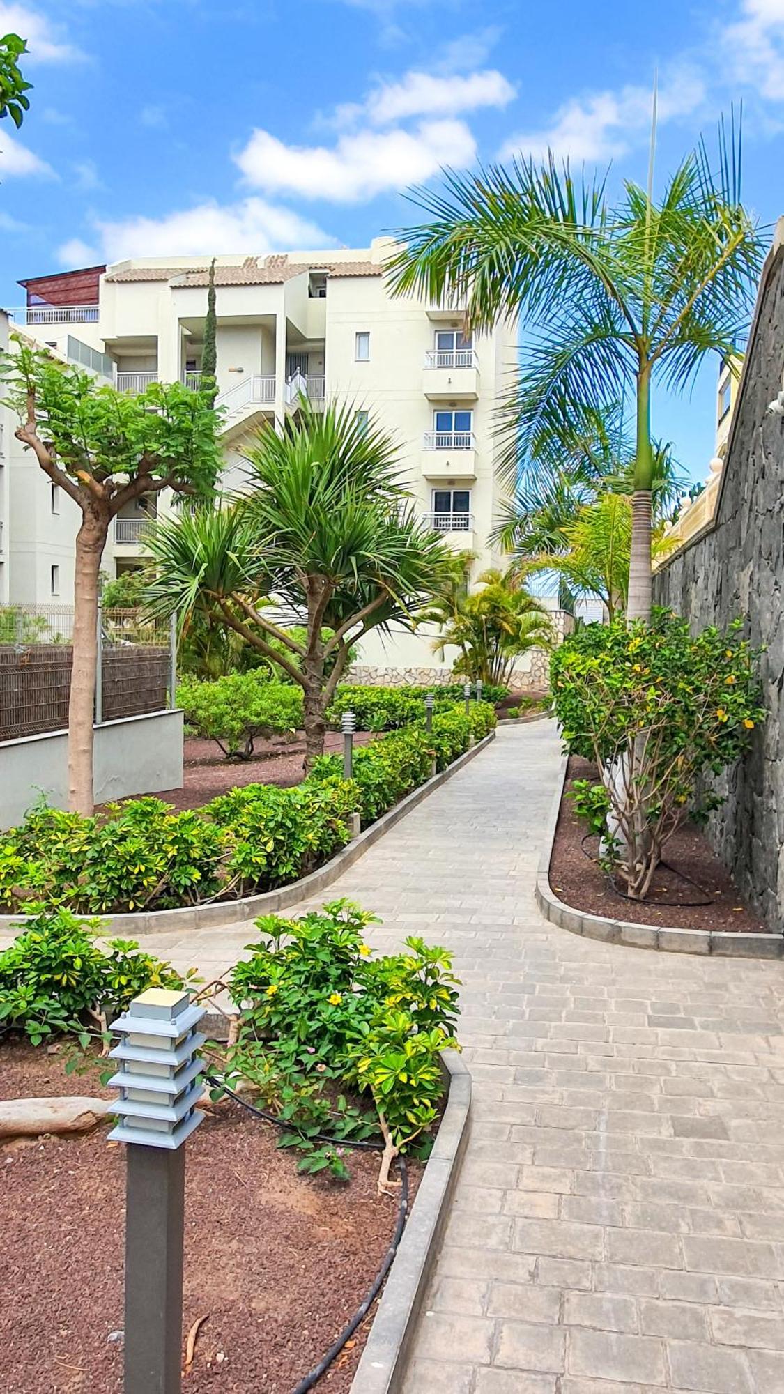 Terraza Sea & Sun Daire Palm-mar Dış mekan fotoğraf